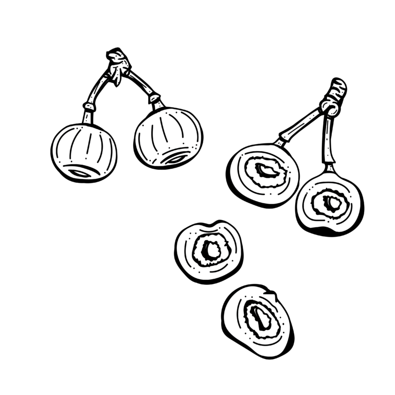 ลูกฉิ่ง