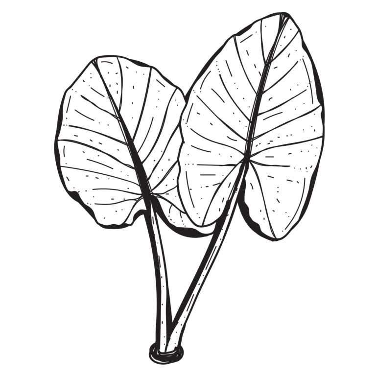 ว่านพญาจงอ่าง