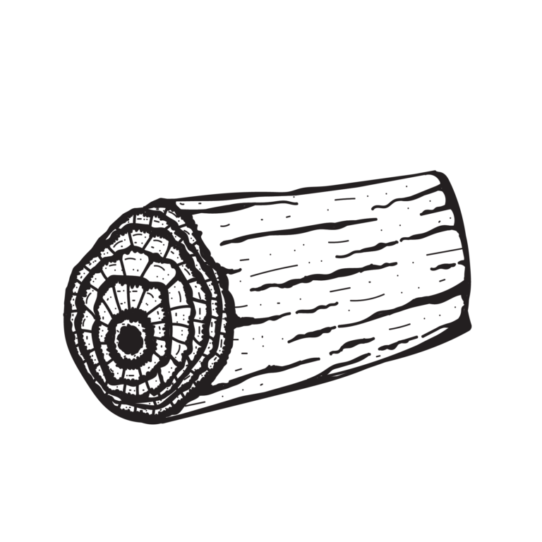 เถาเมื่อยแดง